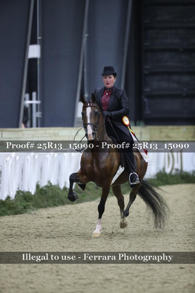 Proof Number 25R13_15090