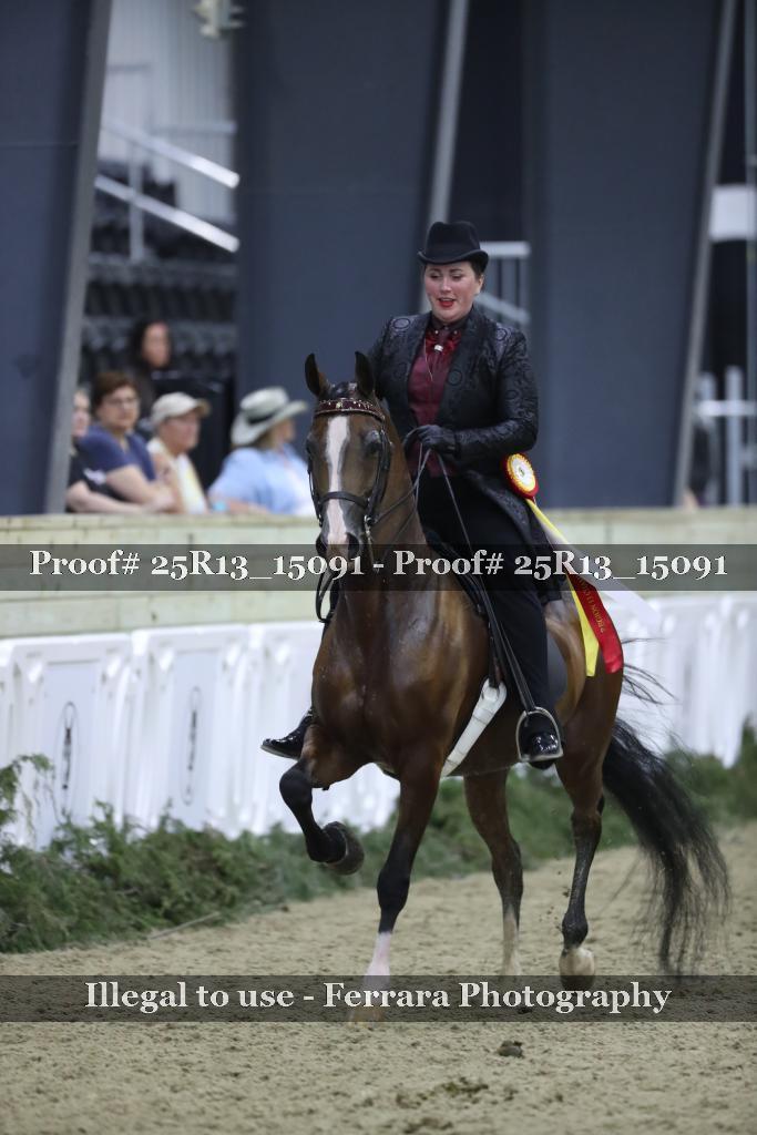 Proof Number 25R13_15091