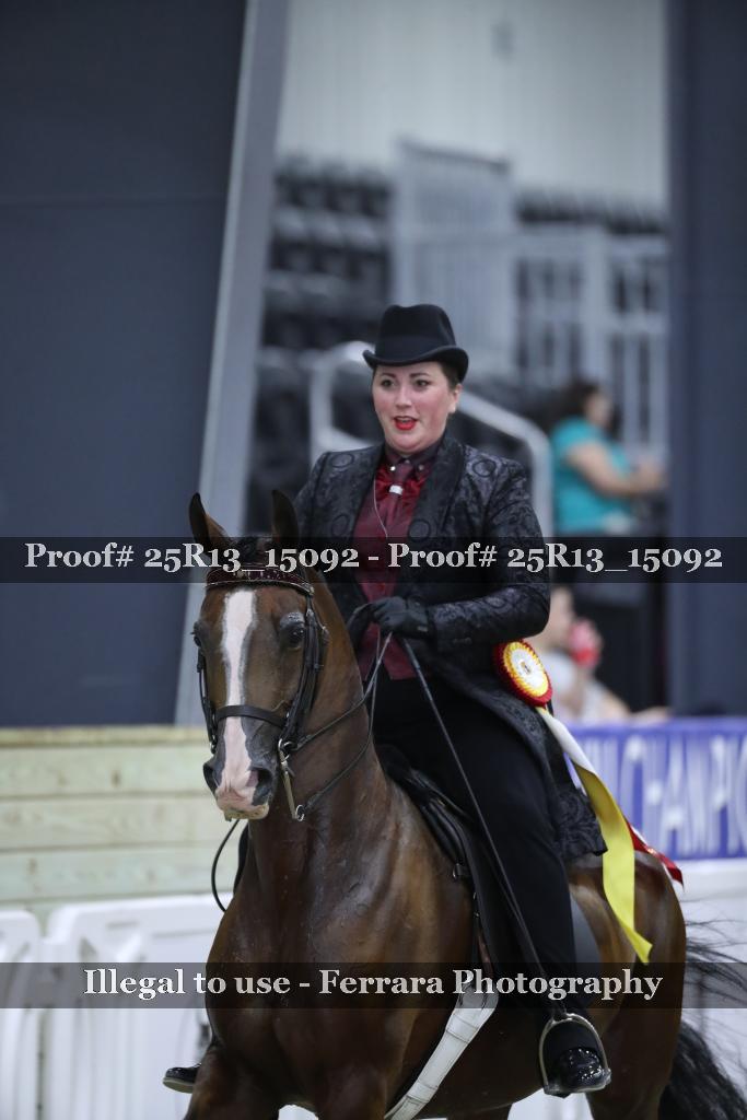 Proof Number 25R13_15092