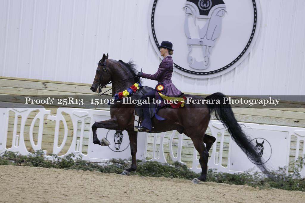 Proof Number 25R13_15102