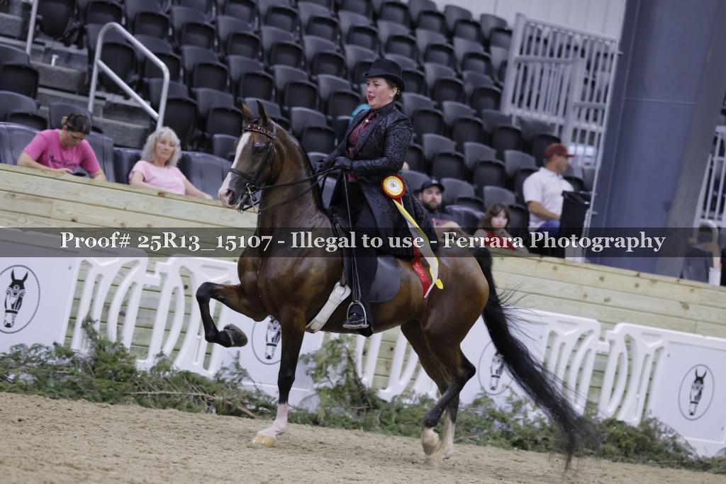 Proof Number 25R13_15107