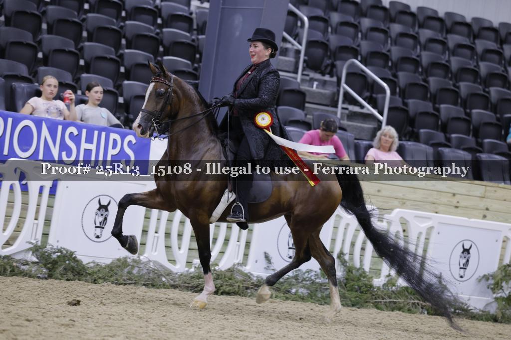 Proof Number 25R13_15108