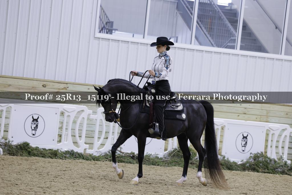 Proof Number 25R13_15119