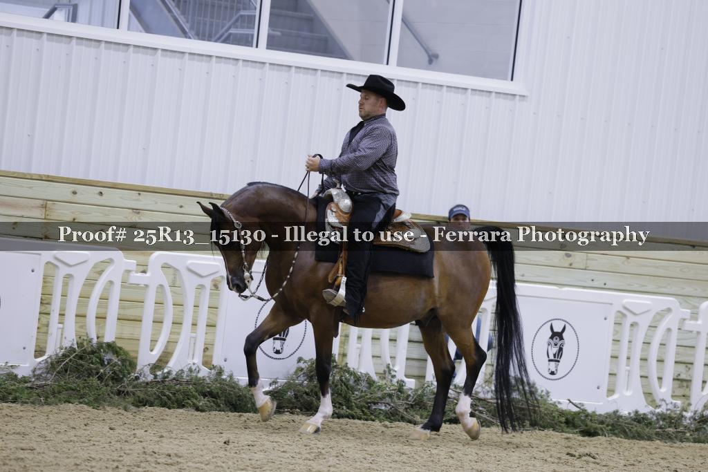 Proof Number 25R13_15130