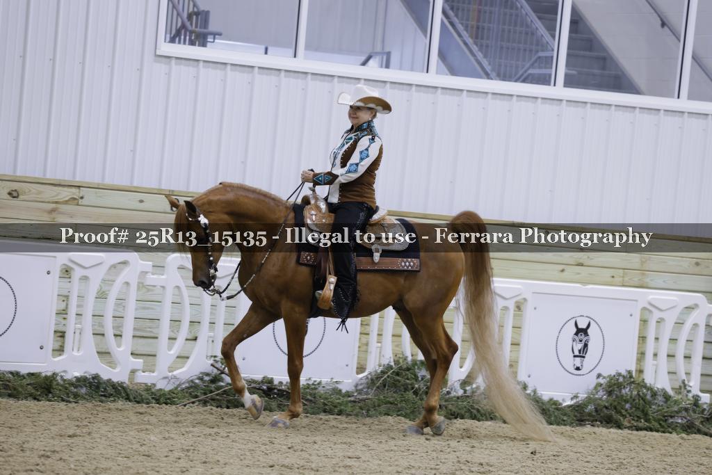 Proof Number 25R13_15135