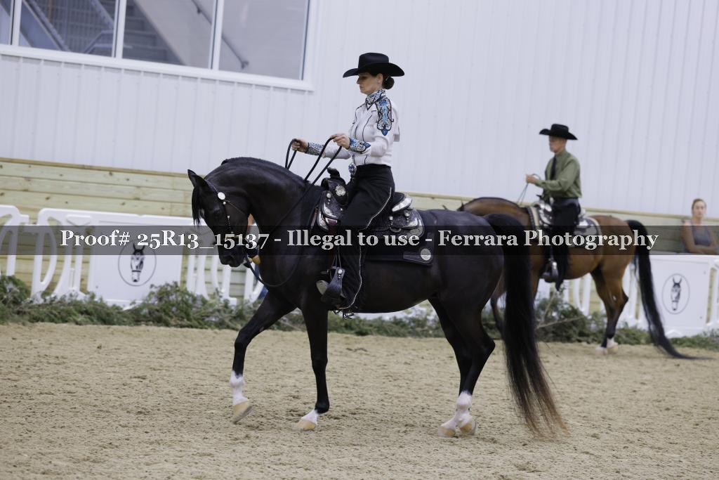 Proof Number 25R13_15137