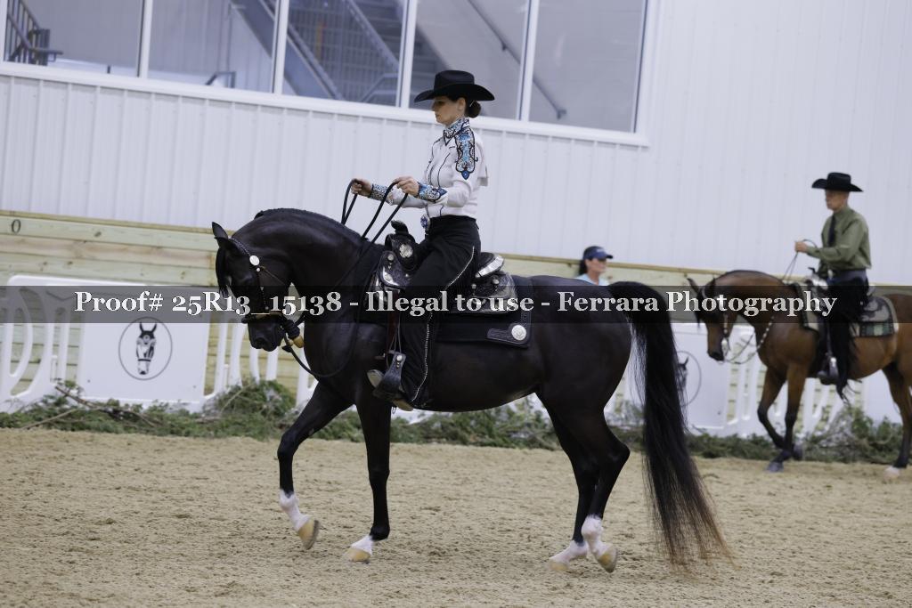 Proof Number 25R13_15138