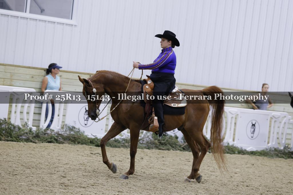 Proof Number 25R13_15143