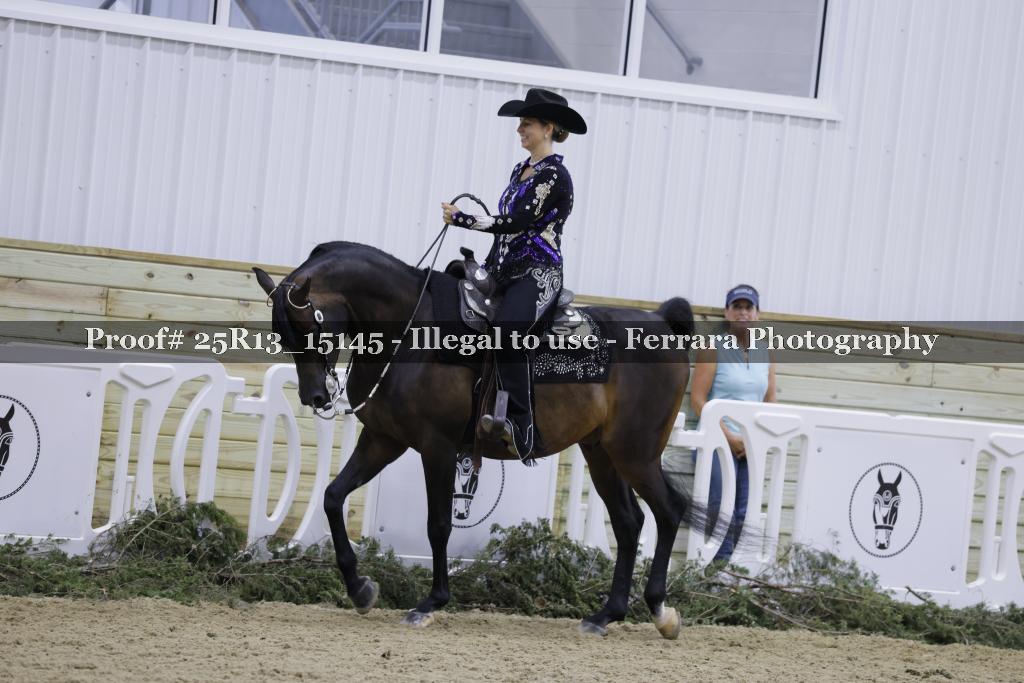 Proof Number 25R13_15145