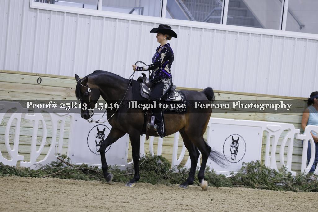 Proof Number 25R13_15146