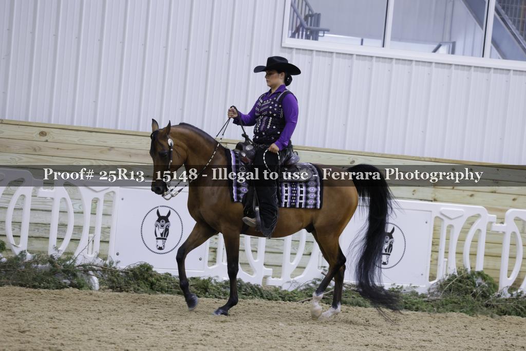 Proof Number 25R13_15148