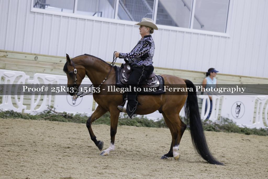Proof Number 25R13_15153