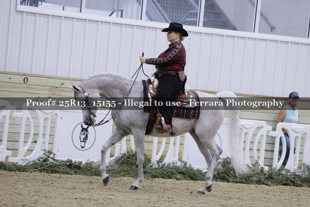 Proof Number 25R13_15155