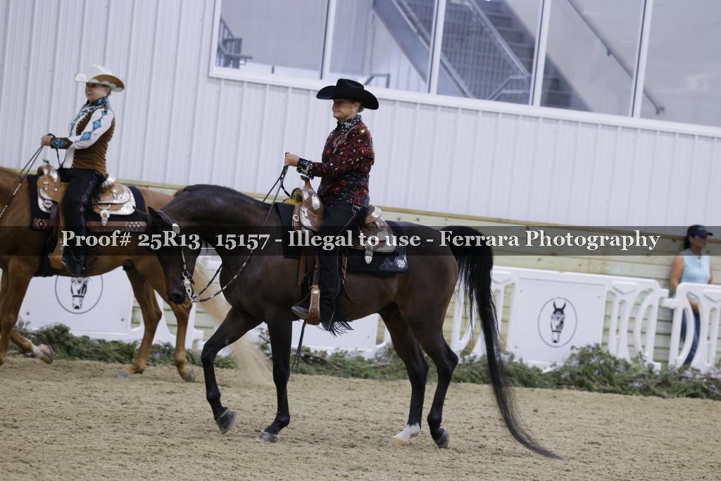 Proof Number 25R13_15157