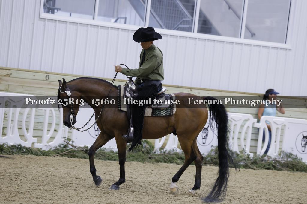 Proof Number 25R13_15160