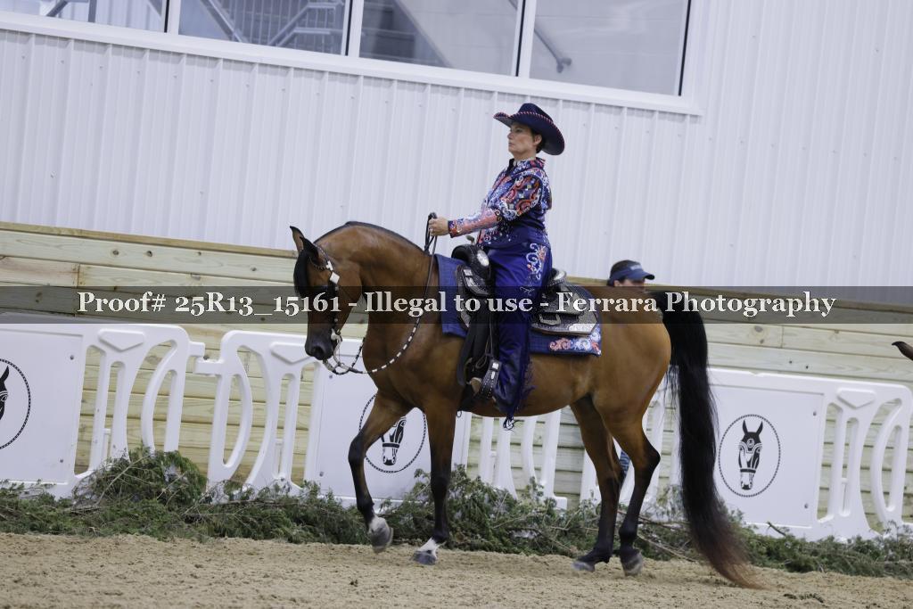 Proof Number 25R13_15161