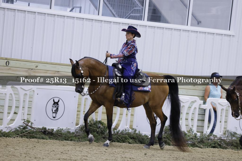 Proof Number 25R13_15162