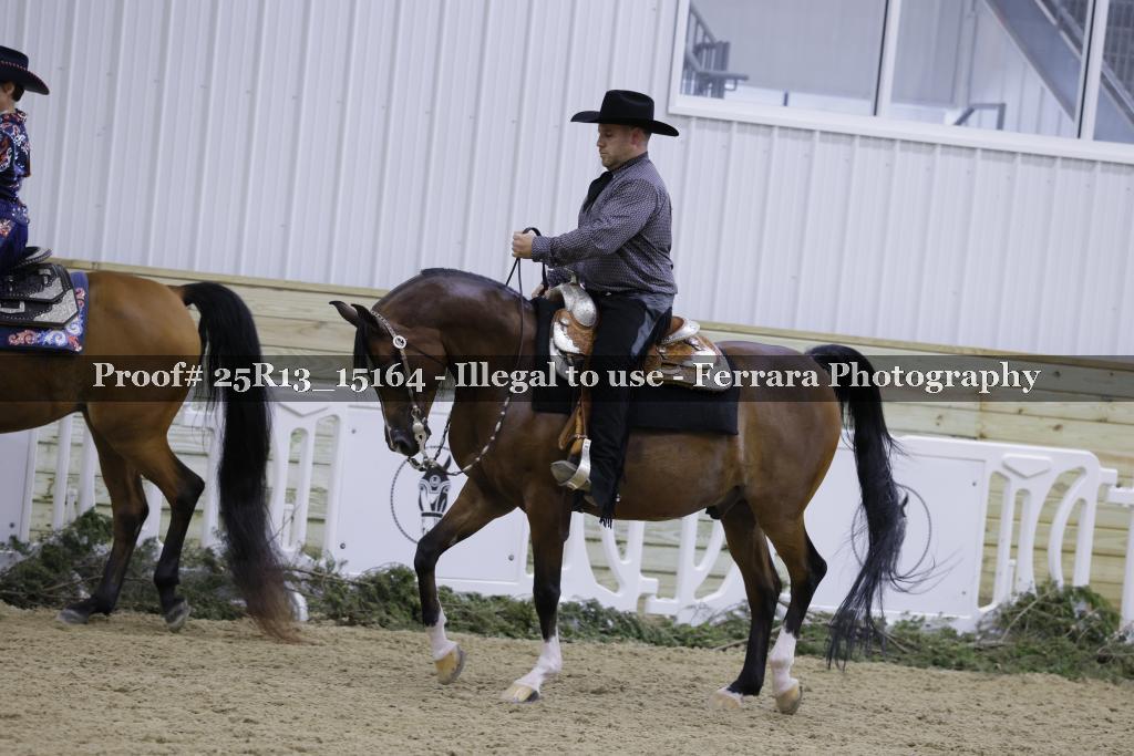 Proof Number 25R13_15164
