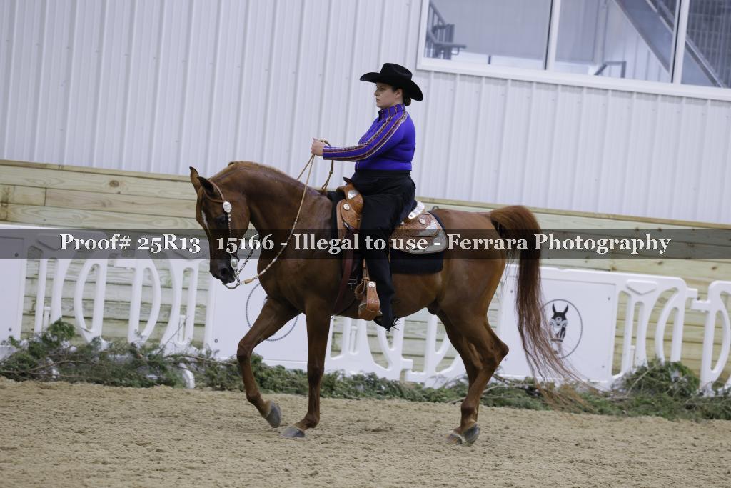 Proof Number 25R13_15166