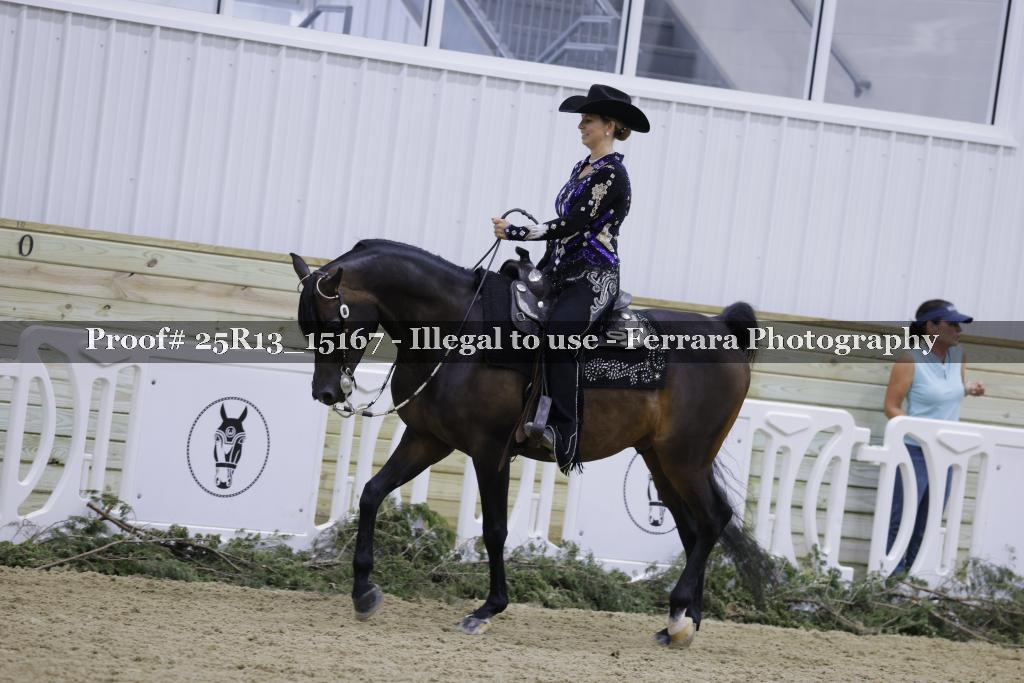 Proof Number 25R13_15167