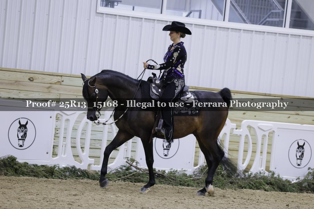 Proof Number 25R13_15168