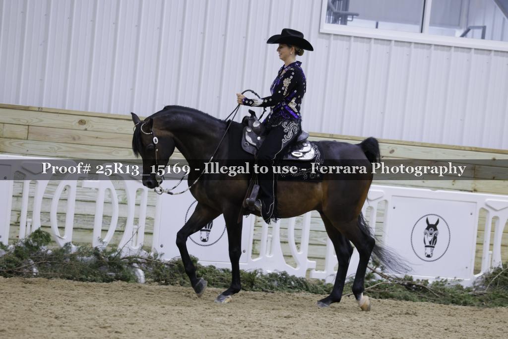 Proof Number 25R13_15169