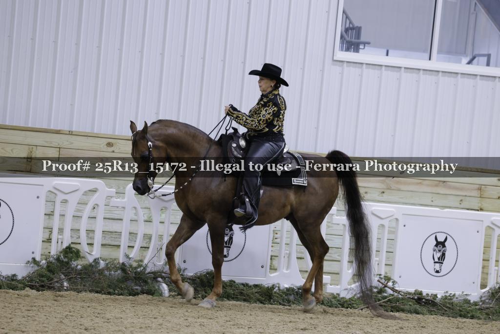 Proof Number 25R13_15172
