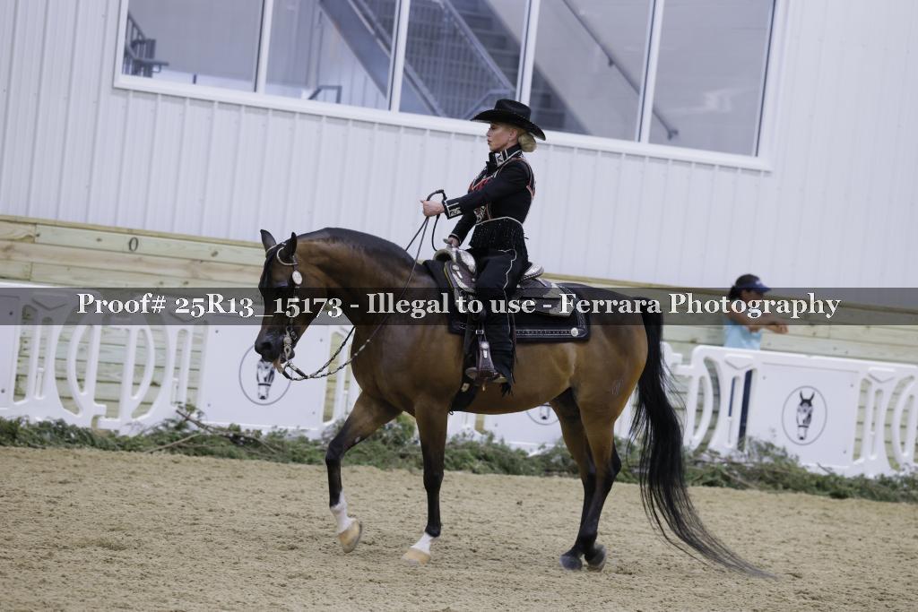 Proof Number 25R13_15173