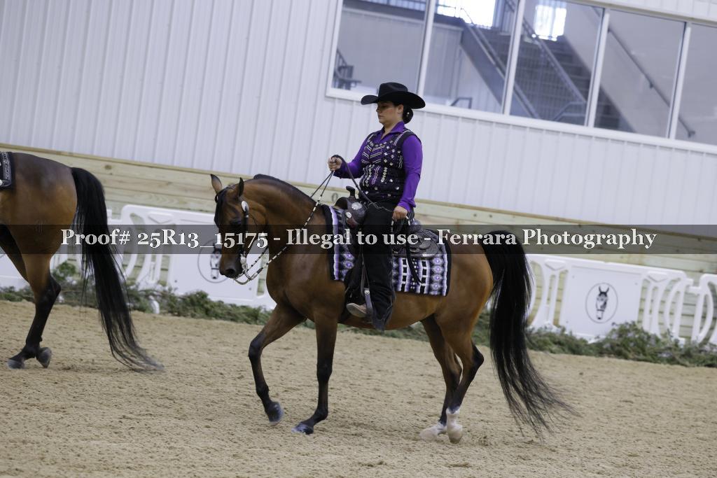 Proof Number 25R13_15175