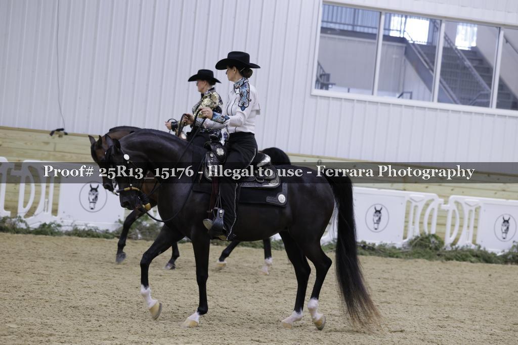 Proof Number 25R13_15176
