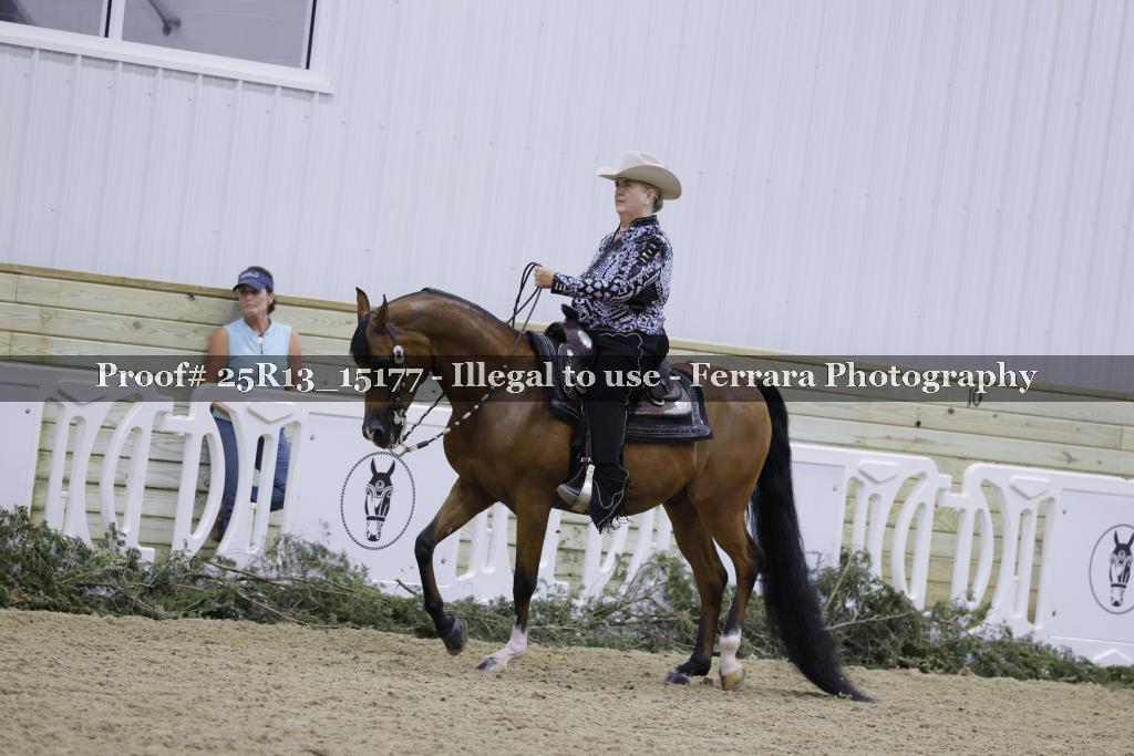 Proof Number 25R13_15177
