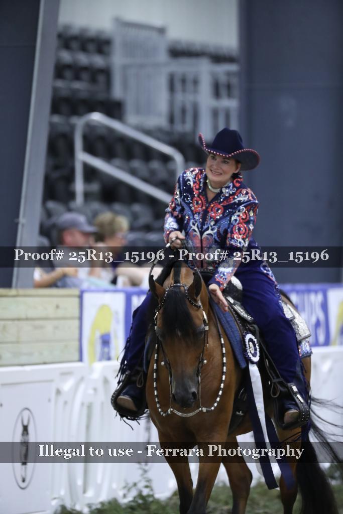 Proof Number 25R13_15196