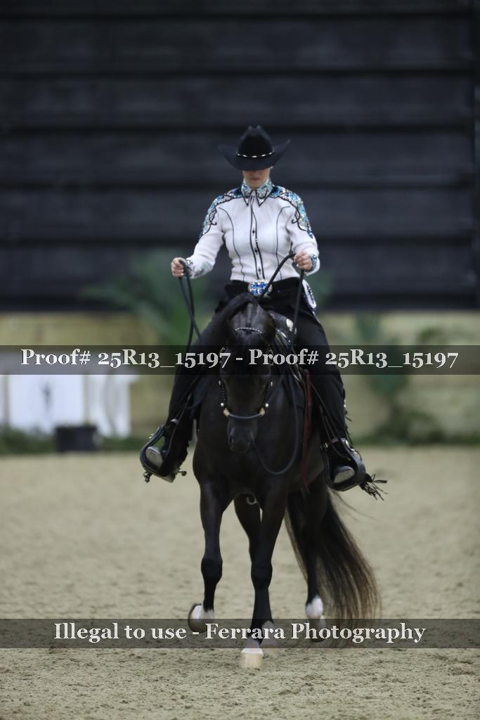 Proof Number 25R13_15197