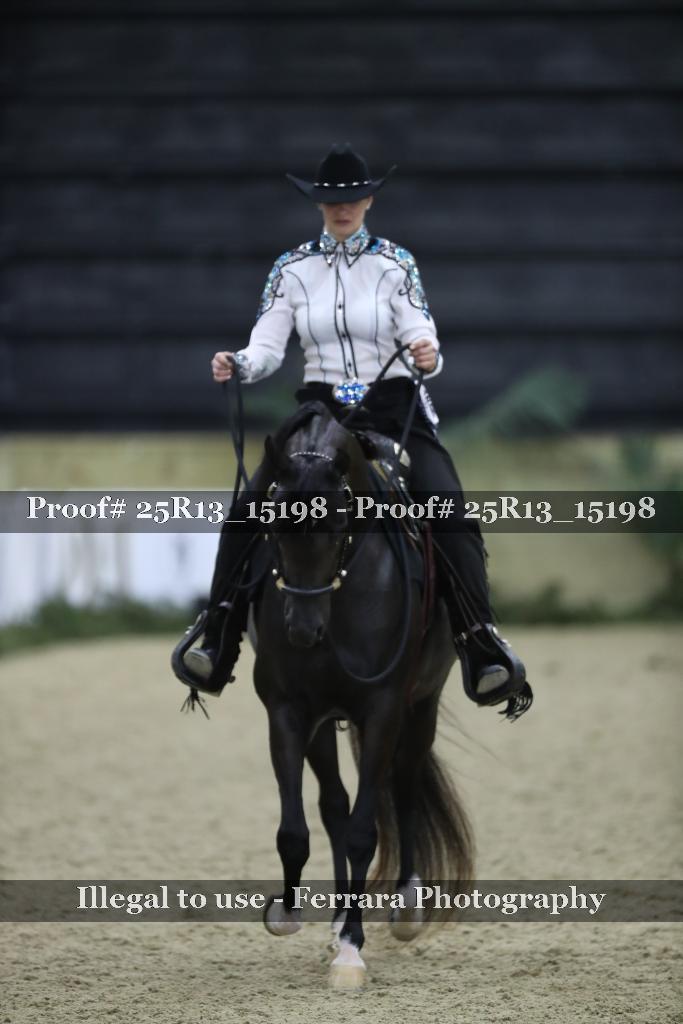 Proof Number 25R13_15198
