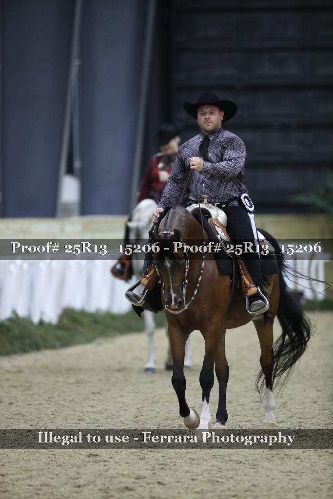 Proof Number 25R13_15206