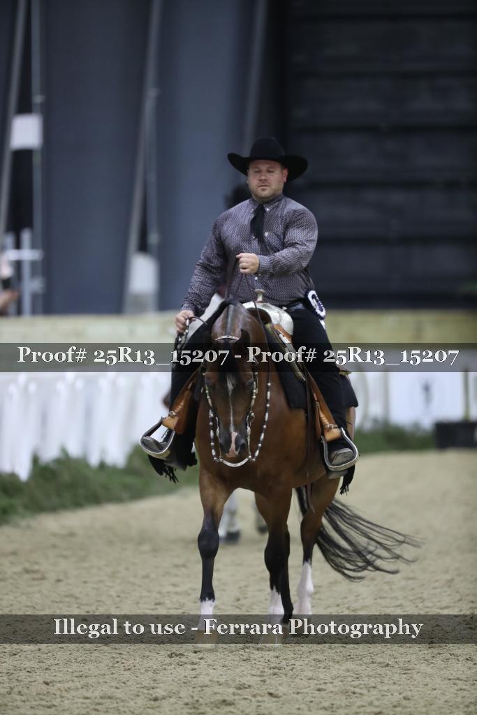 Proof Number 25R13_15207