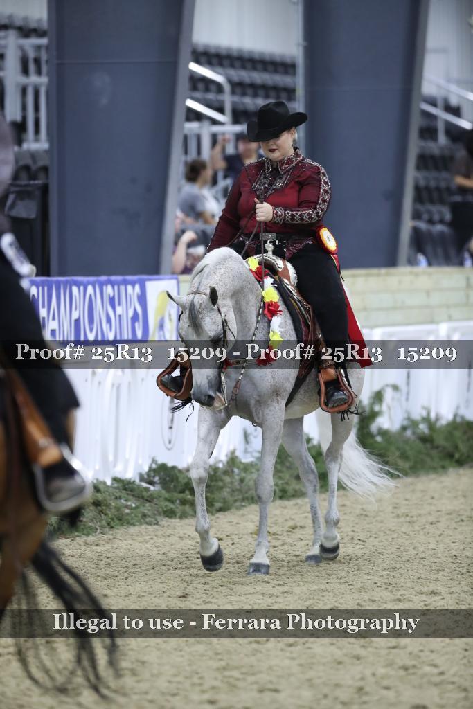 Proof Number 25R13_15209