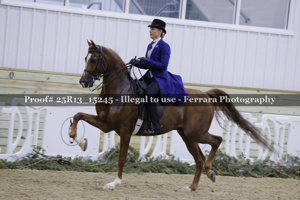 Proof Number 25R13_15245