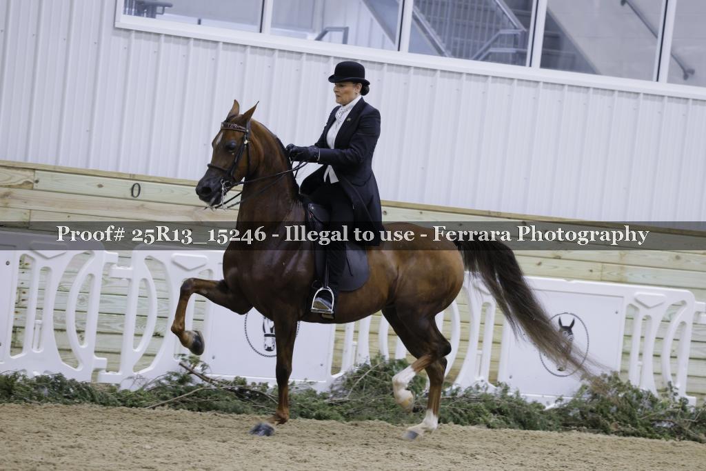 Proof Number 25R13_15246