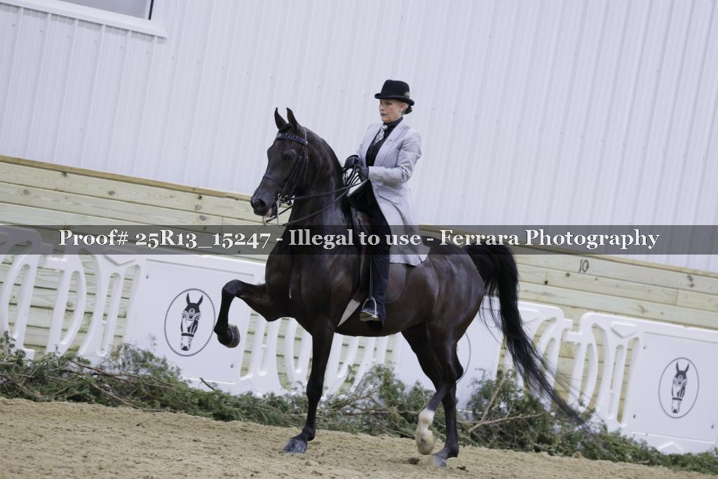 Proof Number 25R13_15247