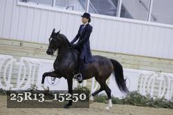 25R13_15250 thumbnail
