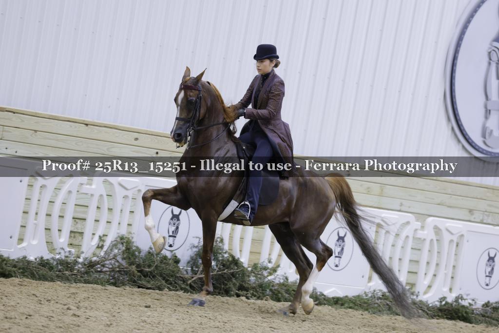 Proof Number 25R13_15251