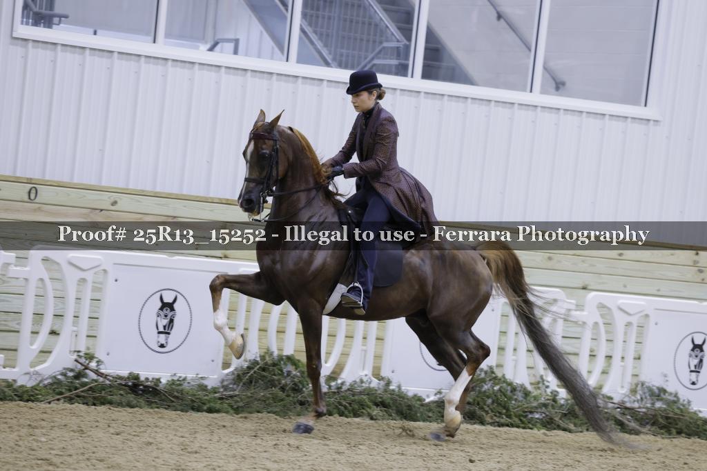 Proof Number 25R13_15252