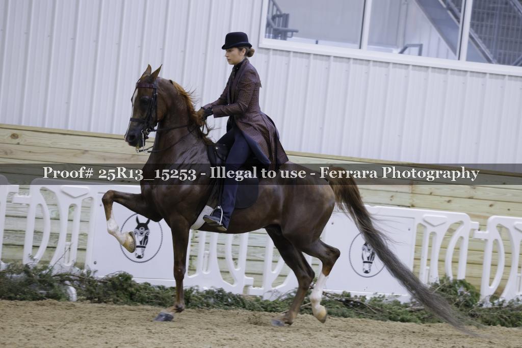 Proof Number 25R13_15253