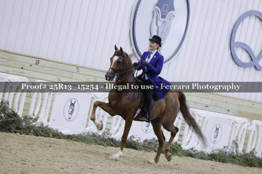 Proof Number 25R13_15254