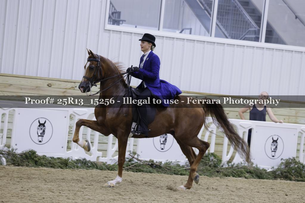 Proof Number 25R13_15256