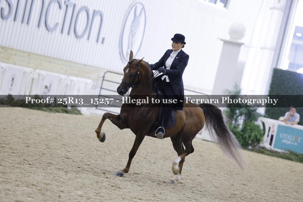 Proof Number 25R13_15257