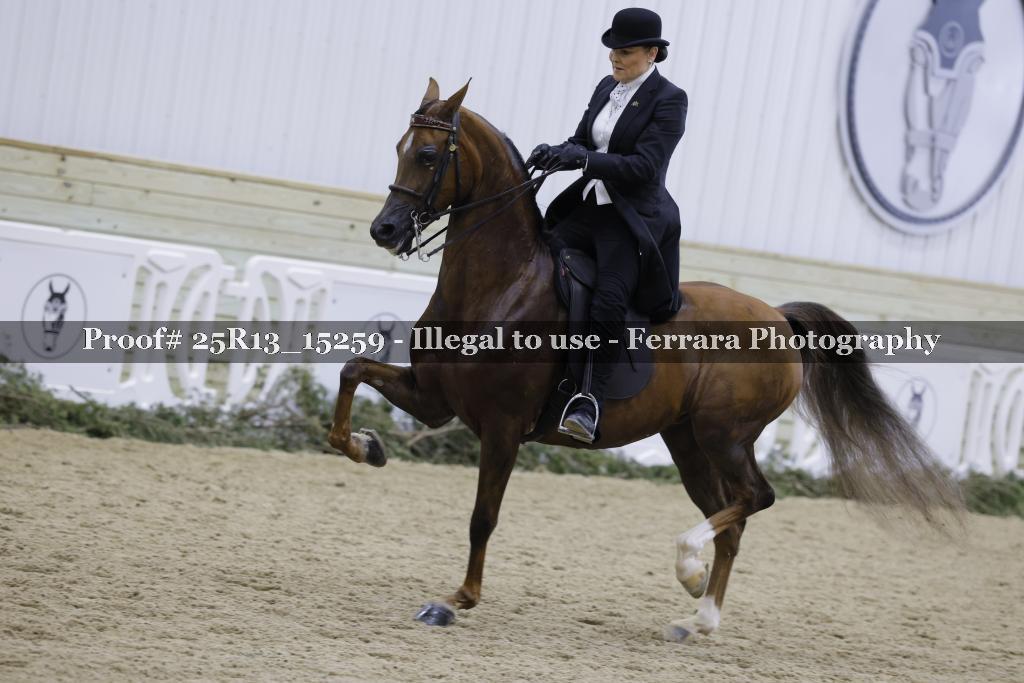 Proof Number 25R13_15259