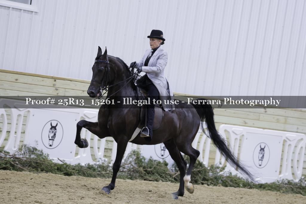 Proof Number 25R13_15261