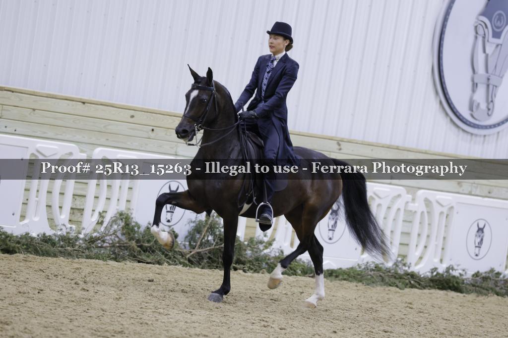 Proof Number 25R13_15263